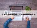 八仙花是绣球花吗，八仙花和绣球的区别