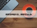四照花种植方法，四照花怎么养