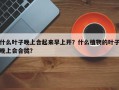 什么叶子晚上合起来早上开？什么植物的叶子晚上会合拢？
