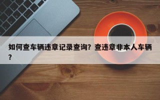 如何查车辆违章记录查询？查违章非本人车辆？