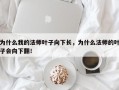 为什么我的法师叶子向下长，为什么法师的叶子会向下翻！