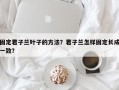 固定君子兰叶子的方法？君子兰怎样固定长成一致？