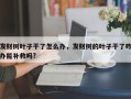 发财树叶子干了怎么办，发财树的叶子干了咋办能补救吗?