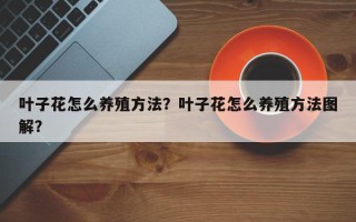叶子花怎么养殖方法？叶子花怎么养殖方法图解？