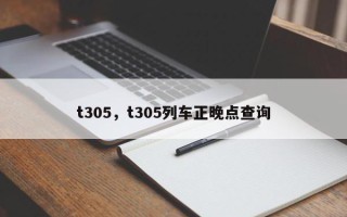 t305，t305列车正晚点查询