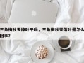 三角梅秋天掉叶子吗，三角梅秋天落叶是怎么回事？