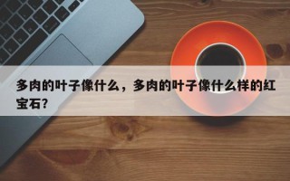 多肉的叶子像什么，多肉的叶子像什么样的红宝石？