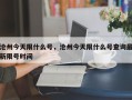 沧州今天限什么号，沧州今天限什么号查询最新限号时间