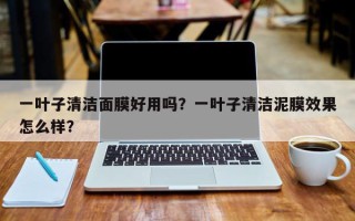 一叶子清洁面膜好用吗？一叶子清洁泥膜效果怎么样？