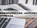 刚买回来的山茶花叶子掉光，山茶花叶子掉了啥时候能长出来
