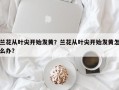 兰花从叶尖开始发黄？兰花从叶尖开始发黄怎么办？