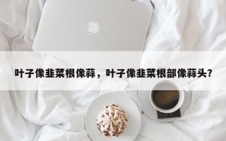 叶子像韭菜根像蒜，叶子像韭菜根部像蒜头？