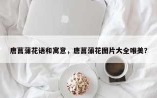 唐菖蒲花语和寓意，唐菖蒲花图片大全唯美？