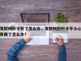 发财树叶子折了怎么办，发财树的叶子不小心弄断了怎么办？
