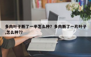 多肉叶子断了一半怎么种？多肉断了一片叶子,怎么种?？