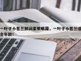 一叶子小苍兰鲜润柔嫩眼霜，一叶子小苍兰适合年龄！