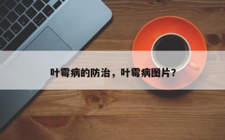 叶霉病的防治，叶霉病图片？