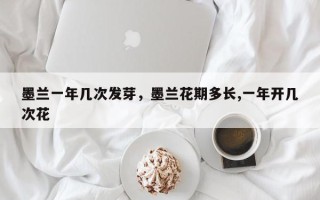 墨兰一年几次发芽，墨兰花期多长,一年开几次花