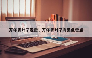 万年青叶子发霉，万年青叶子有黑色霉点