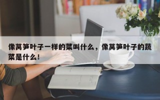 像莴笋叶子一样的菜叫什么，像莴笋叶子的蔬菜是什么！
