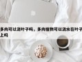 多肉可以浇叶子吗，多肉植物可以浇水在叶子上吗