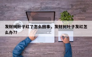 发财树叶子红了怎么回事，发财树叶子发红怎么办?？