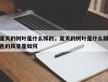 夏天的树叶是什么样的，夏天的树叶是什么颜色的风景是如何
