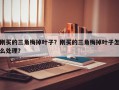 刚买的三角梅掉叶子？刚买的三角梅掉叶子怎么处理？