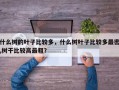 什么树的叶子比较多，什么树叶子比较多最密,树干比较高最粗？