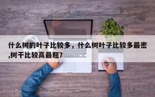 什么树的叶子比较多，什么树叶子比较多最密,树干比较高最粗？
