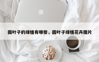 圆叶子的绿植有哪些，圆叶子绿植花卉图片