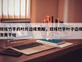 双线竹芋的叶片边缘焦糊，双线竹芋叶子边缘发黄干枯