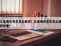 三角梅开完花怎么修剪？三角梅开完花怎么修剪好看？