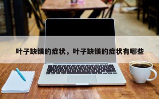 叶子缺镁的症状，叶子缺镁的症状有哪些