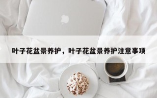 叶子花盆景养护，叶子花盆景养护注意事项