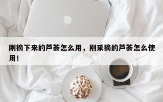 刚摘下来的芦荟怎么用，刚采摘的芦荟怎么使用！
