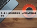 鲁v是什么地方的车牌号，山东鲁v是哪的车牌号