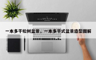 一本多干松树盆景，一本多干式盆景造型图解