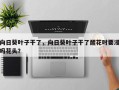 向日葵叶子干了，向日葵叶子干了醒花时要浸吗花头？