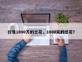 价值1000万的兰花，1000元的兰花？