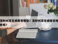 发财树常见病害有哪些？发财树常见病害有哪些呢？