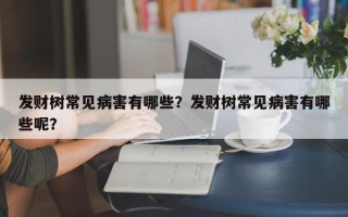 发财树常见病害有哪些？发财树常见病害有哪些呢？