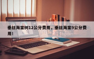 垂丝海棠树12公分费用，垂丝海棠9公分费用！