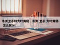 冬青卫矛和大叶黄杨，冬青 卫矛 大叶黄杨 怎么区分！