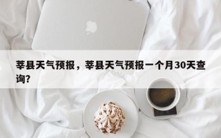 莘县天气预报，莘县天气预报一个月30天查询？