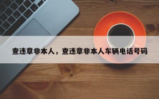 查违章非本人，查违章非本人车辆电话号码