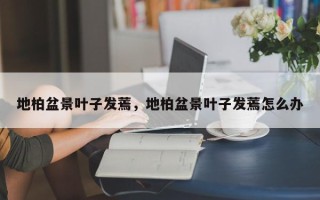 地柏盆景叶子发蔫，地柏盆景叶子发蔫怎么办