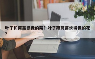 叶子和茼蒿很像的菜？叶子跟茼蒿长得像的花？