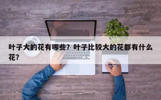 叶子大的花有哪些？叶子比较大的花都有什么花？