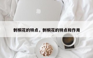 刺桐花的特点，刺桐花的特点和作用